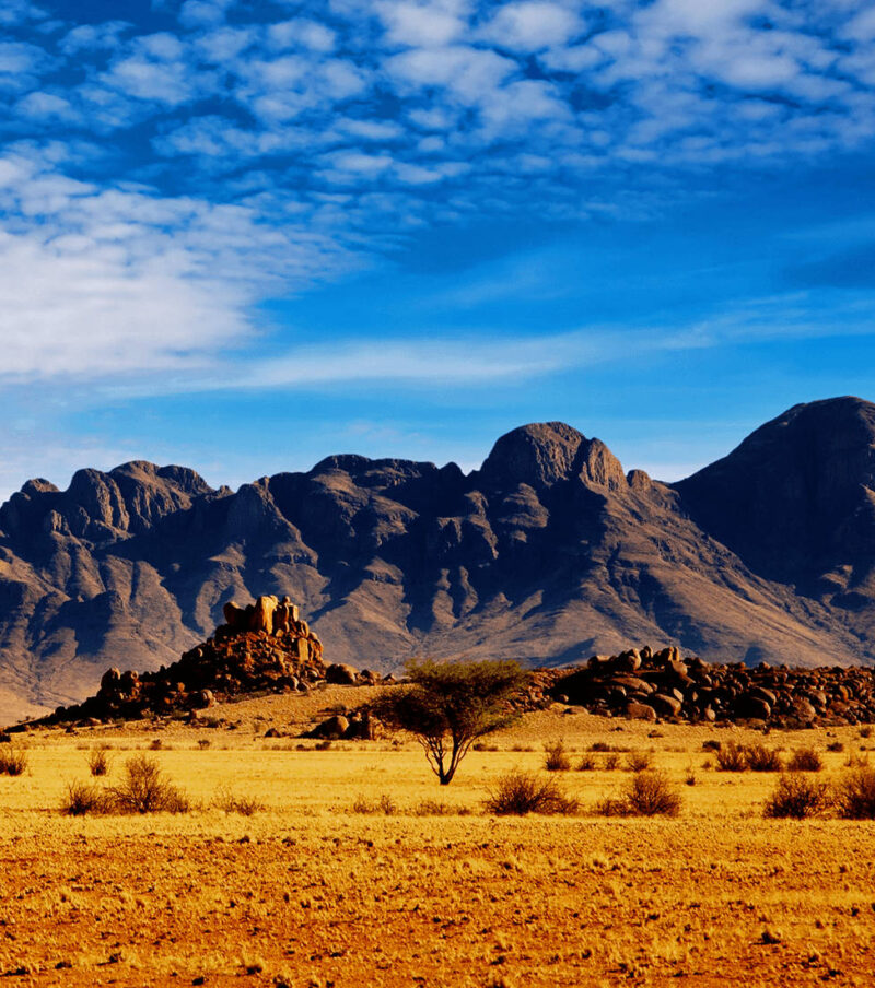 Epic Safari Across Egypt’s Western Desert