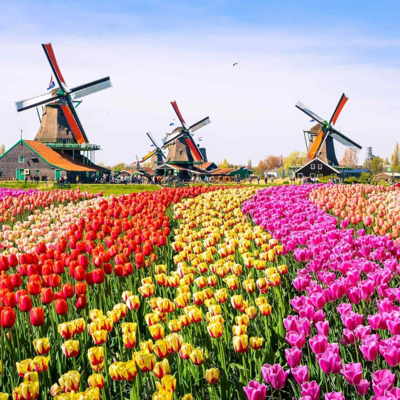 https://bluetours.net/wp-content/uploads/2018/09/destination-netherlands-01-1280x1280.jpg