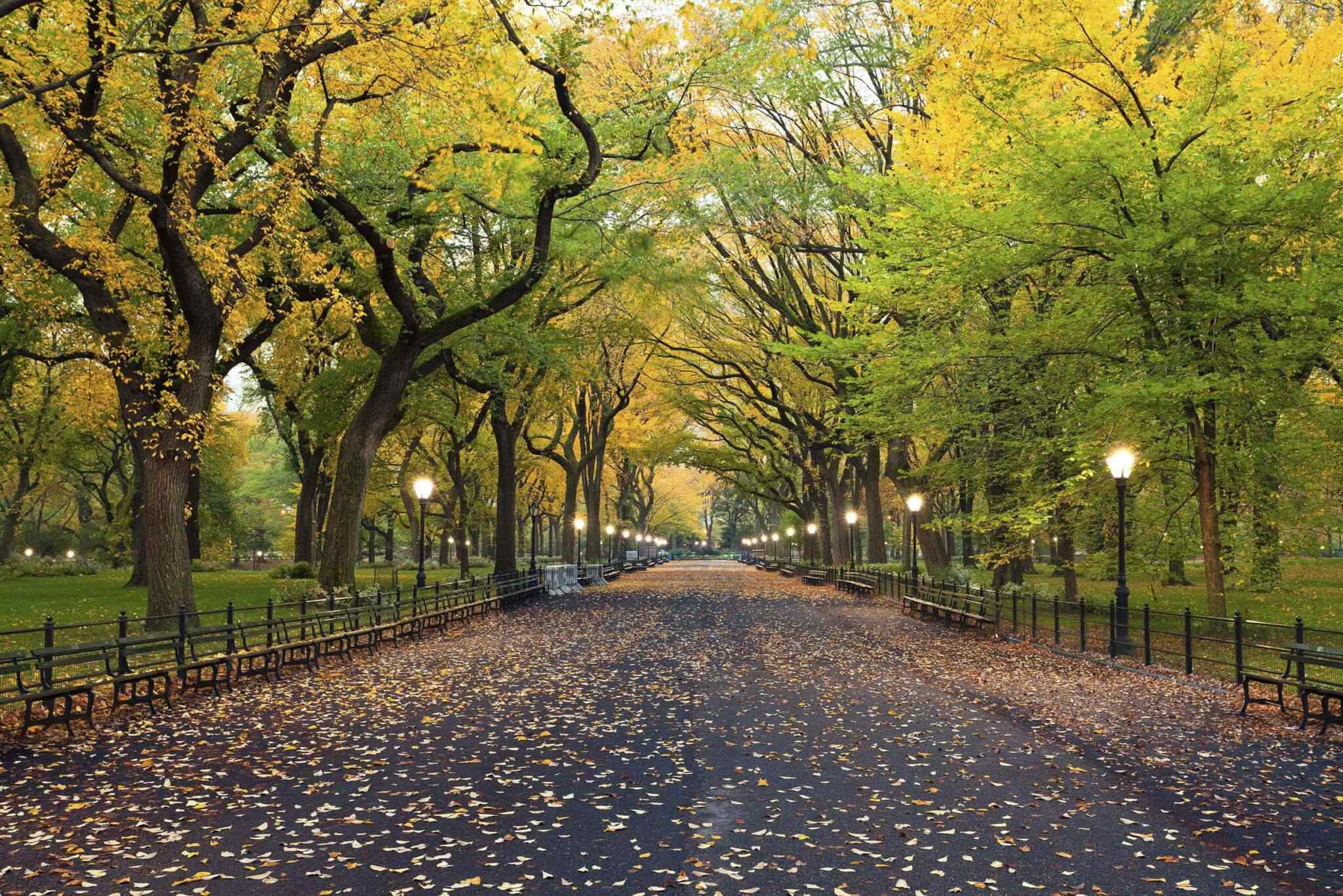 https://bluetours.net/wp-content/uploads/2018/09/destination-new-york-02.jpg
