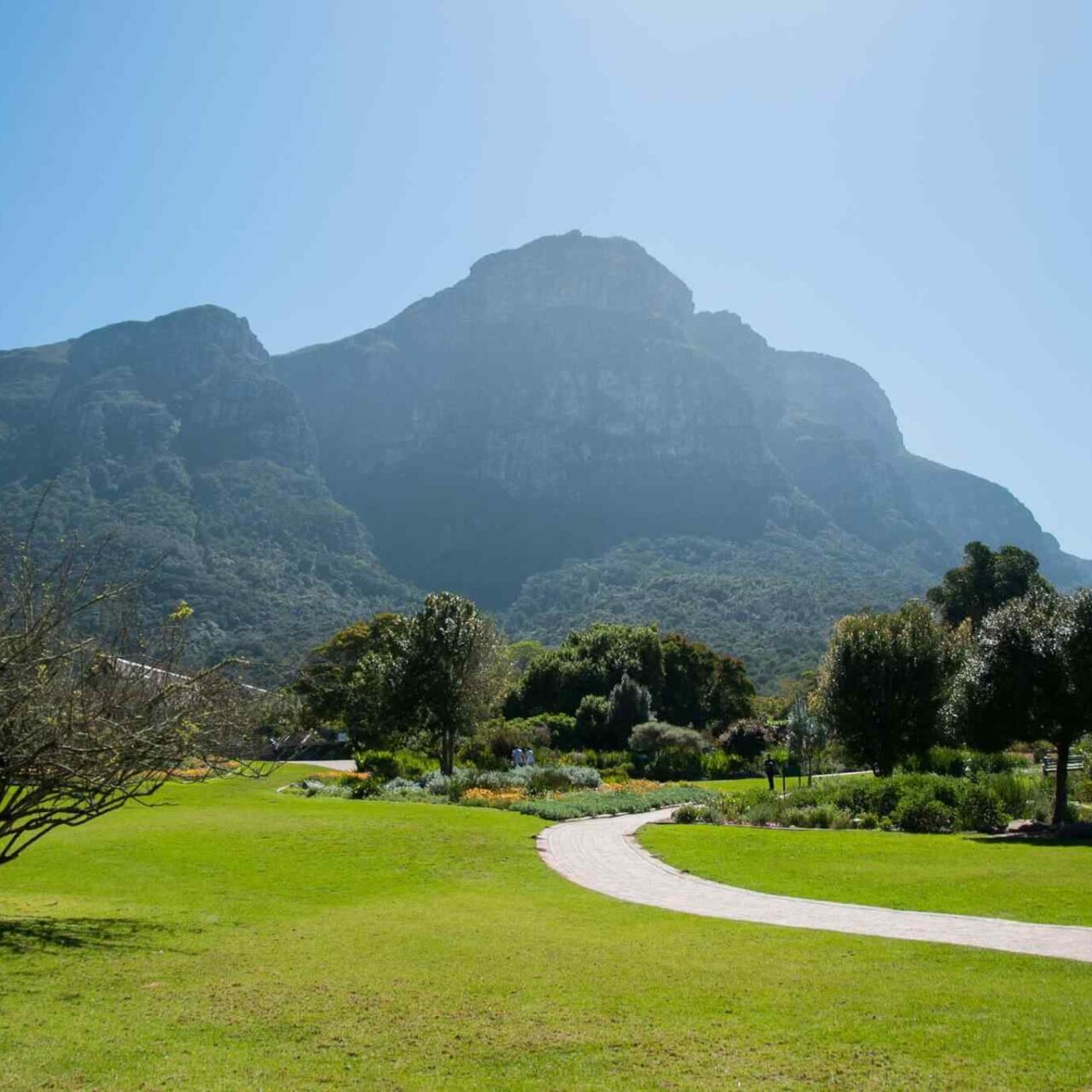 https://bluetours.net/wp-content/uploads/2018/09/tour-capetown-03-1280x1280.jpg