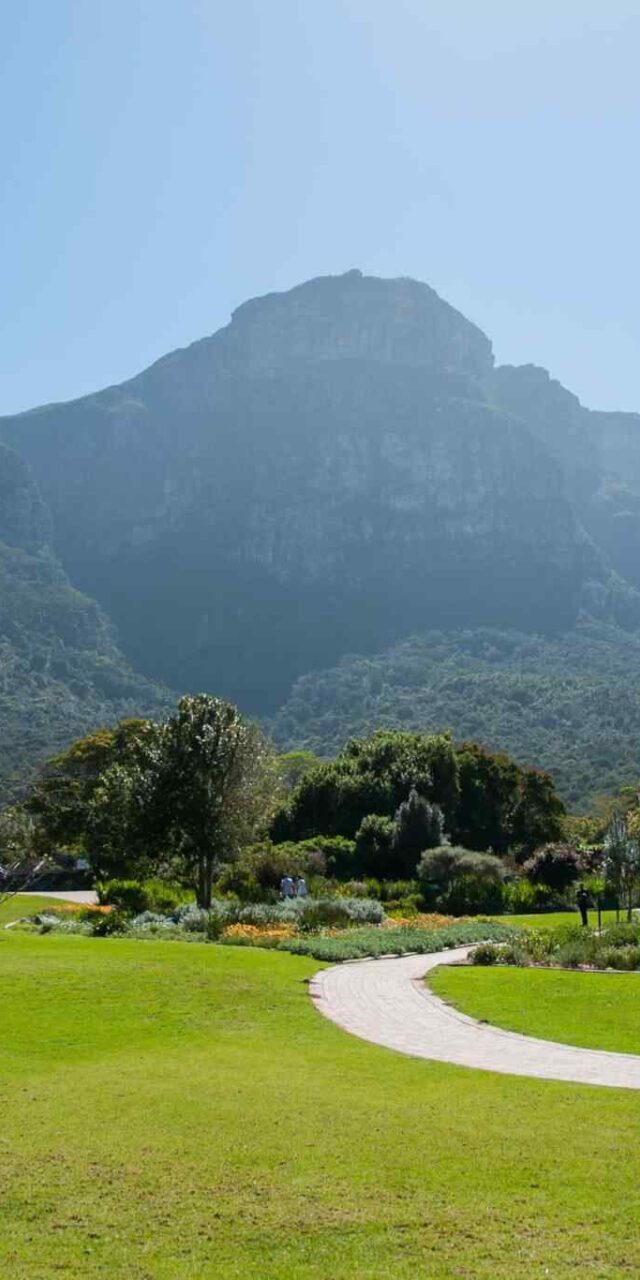 https://bluetours.net/wp-content/uploads/2018/09/tour-capetown-03-640x1280.jpg