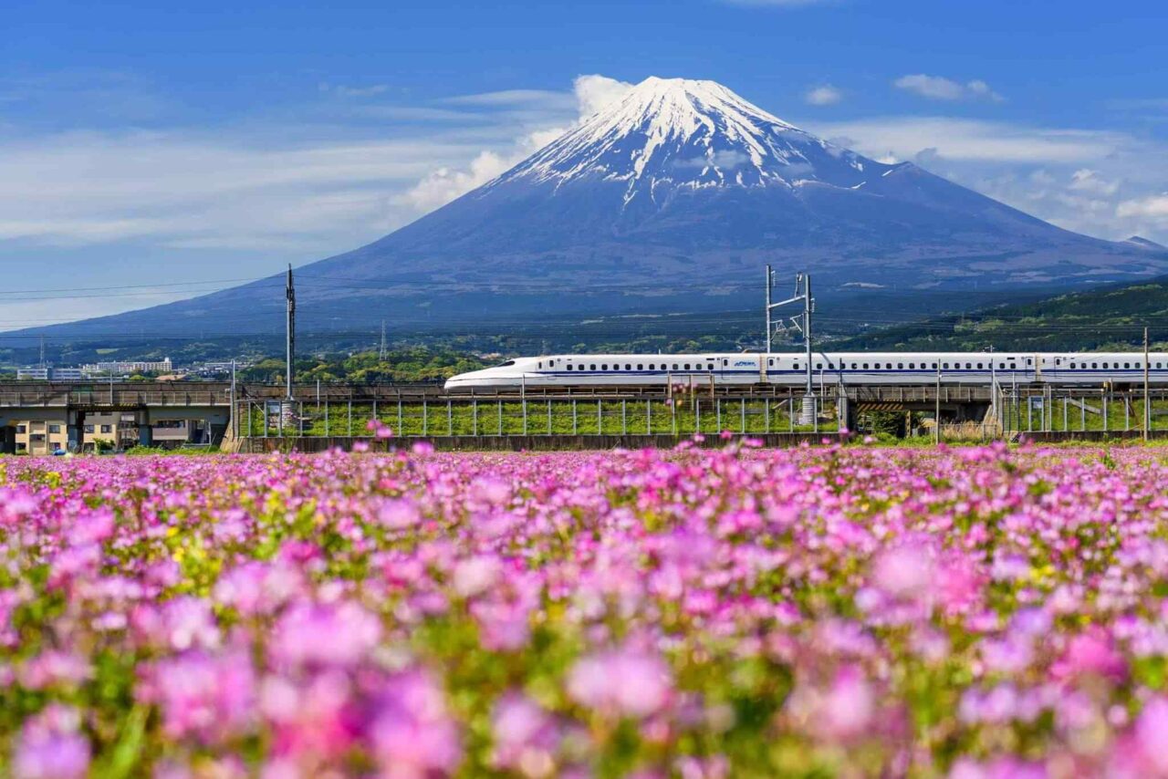 https://bluetours.net/wp-content/uploads/2018/09/tour-osaka-04-1280x854.jpg